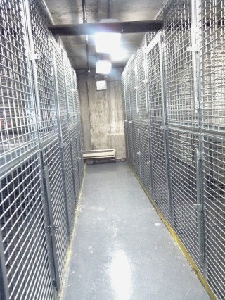 Tenant storage lockers DUMBO Brooklyn