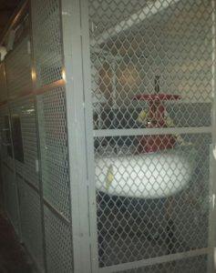Equipment Cage Enclosure Bronx New York