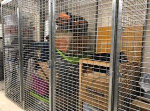 Tenant Storage Cages Astoria Queens