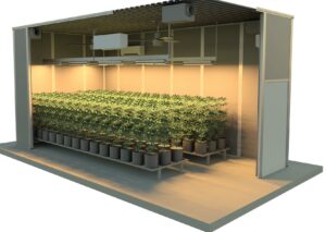 Cannabis Grow Rooms NJ