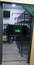 Cannabis cage NYC
